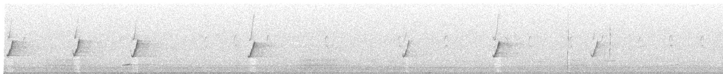rosela mnohobarvá - ML249361341