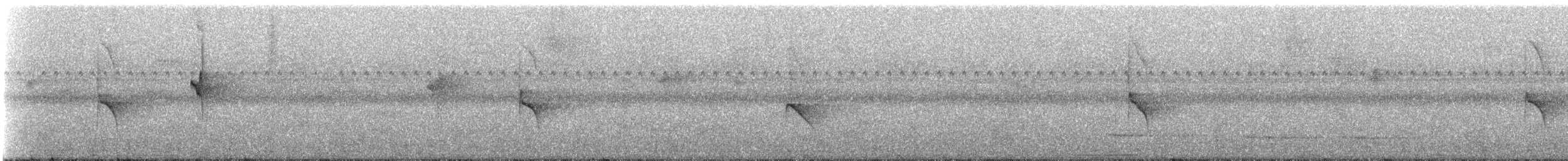 Dot-winged Antwren (Boucard's) - ML249374