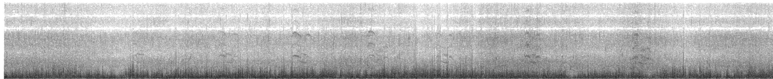 Weißwangen-Seeschwalbe - ML249382551