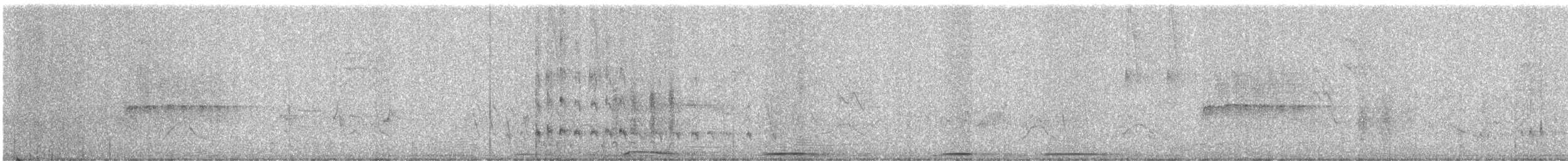 Зенаїда північна - ML249388411
