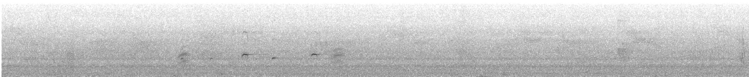Spot-winged Starling - ML249396051