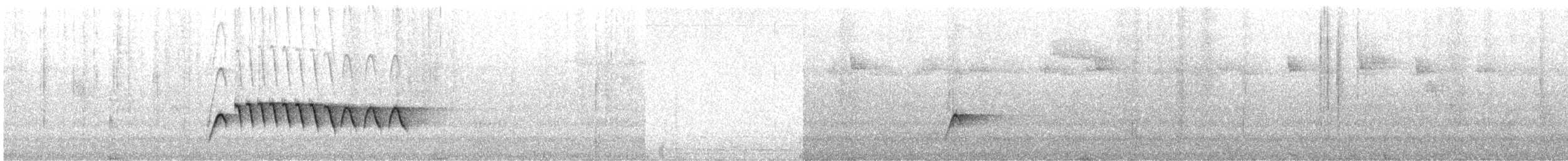 Gray-bellied Wren-Babbler - ML249399661