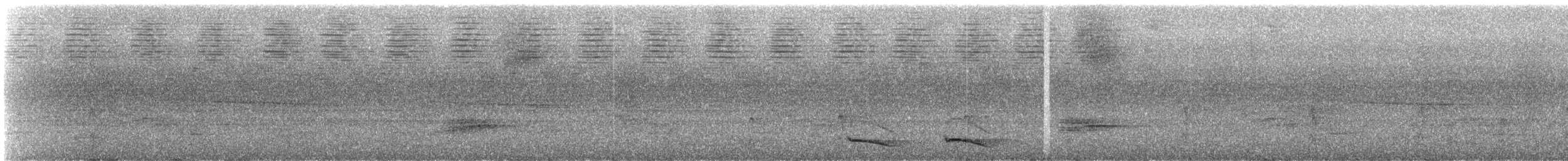 Ошейниковый трогон - ML249407