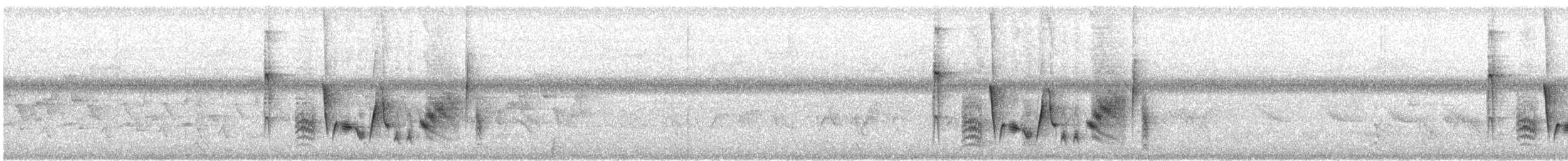 White-eyed Vireo - ML249439191