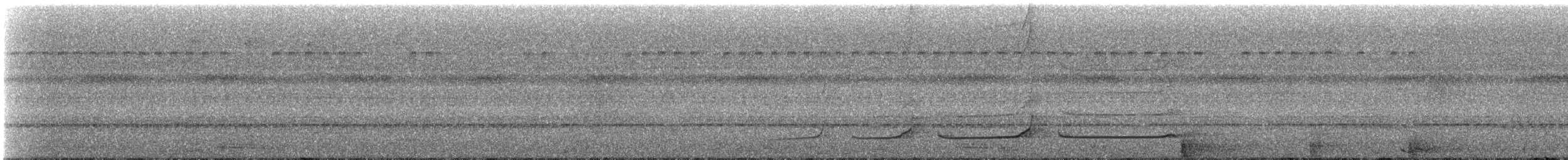 Dunkelschnabel-Baumsteiger [picumnus-Gruppe] - ML249451