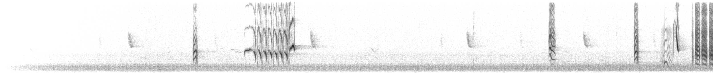 Austral Blackbird - ML249468561