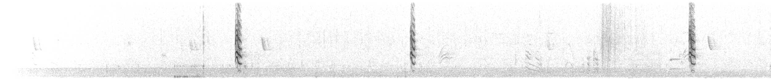 Austral Blackbird - ML249468581