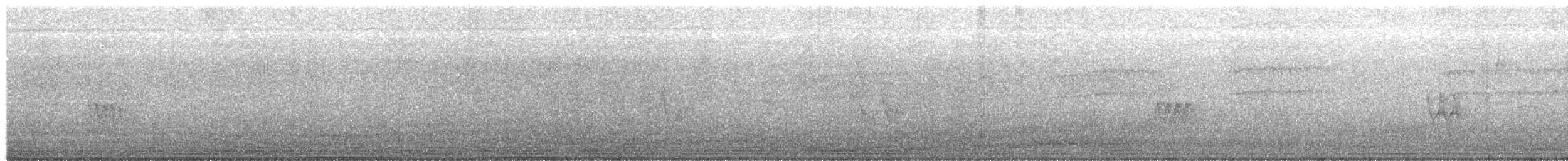 Chivi Vireo (migratory) - ML249480201