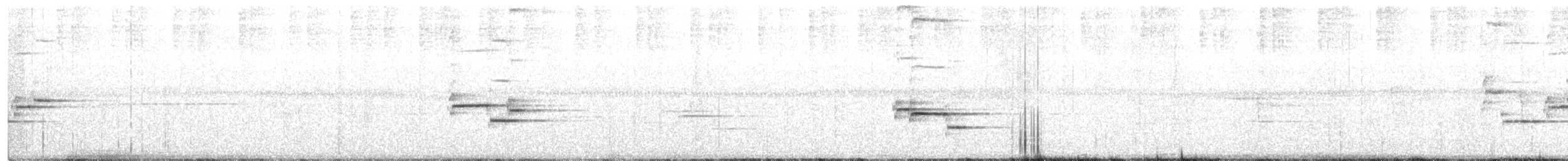 Gri Sırtlı Bülbül Ardıcı - ML249484111