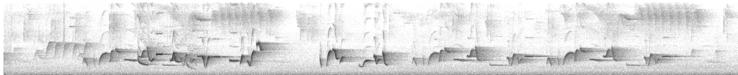 Troglodyte à poitrine grise - ML249484671
