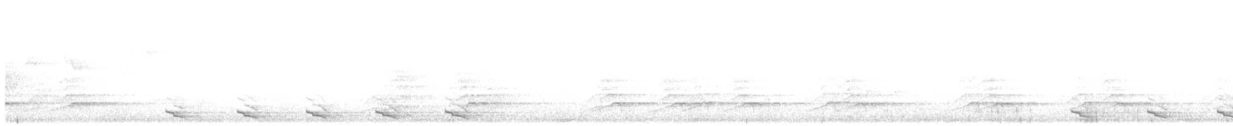 Trogon montagnard - ML249503831