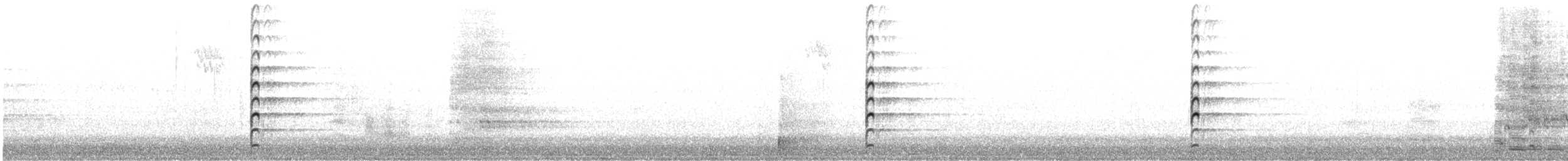 Masked Lapwing (Black-shouldered) - ML249505751