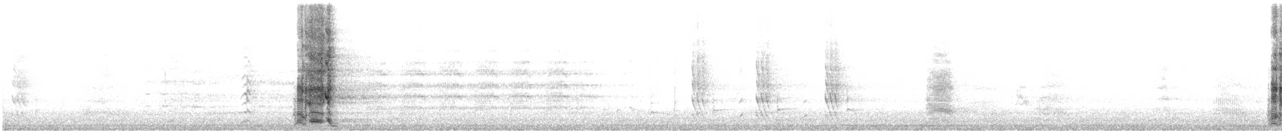 Медолюб-сережник великий - ML249505821