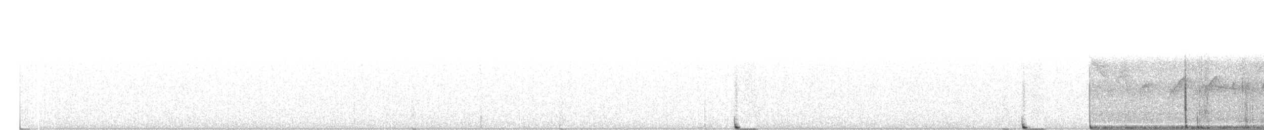 Тауї плямистий - ML249512921