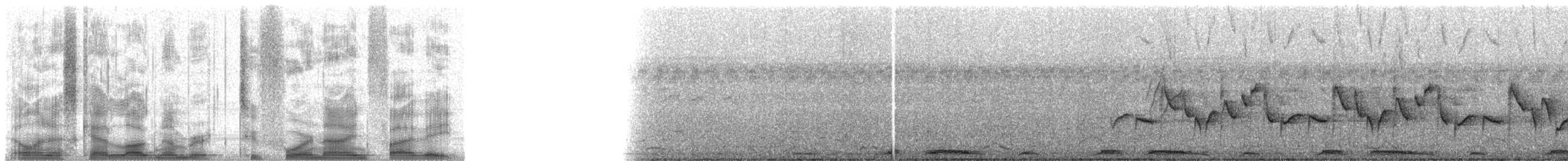 Rufous-vented Grass Babbler - ML24958