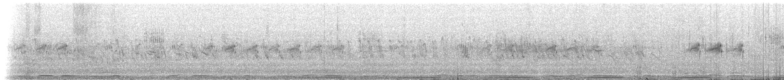 Small Buttonquail - ML249602