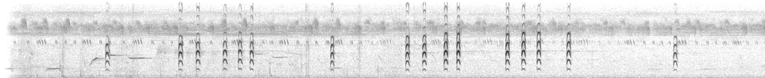 River Lapwing - ML249603