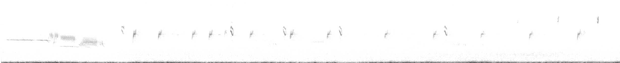 Белобровая овсянка (oriantha) - ML249648631