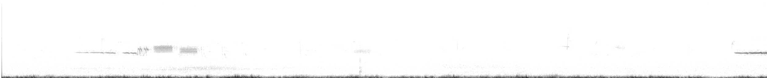 Белобровая овсянка (oriantha) - ML249648681