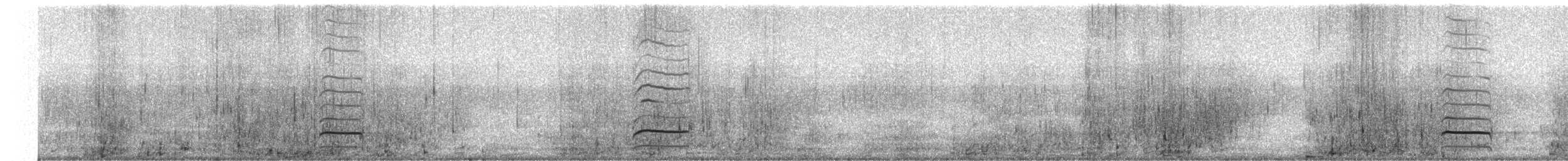 ハジロオオシギ（inornata） - ML249661481