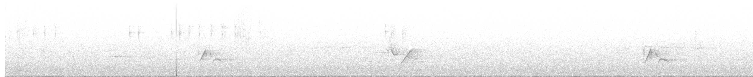ネズミメジロハエトリ - ML249673971