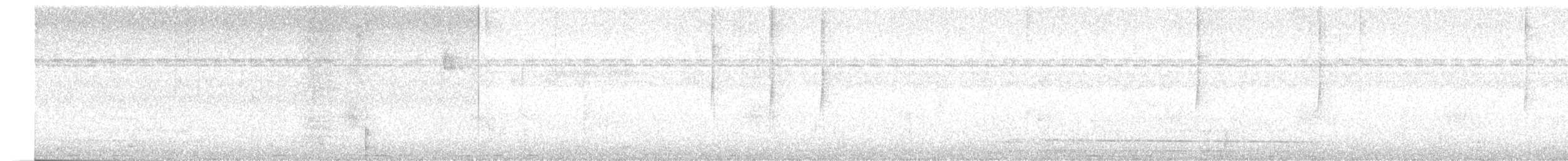 Ошейниковый кинжалоклюв - ML249678291