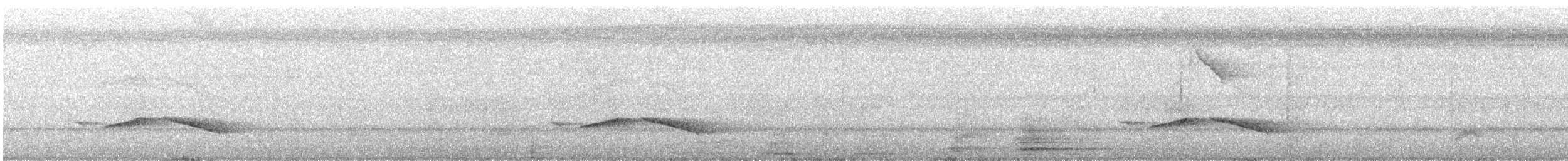 Пятнистогрудая тимелия-говорушка - ML249701571