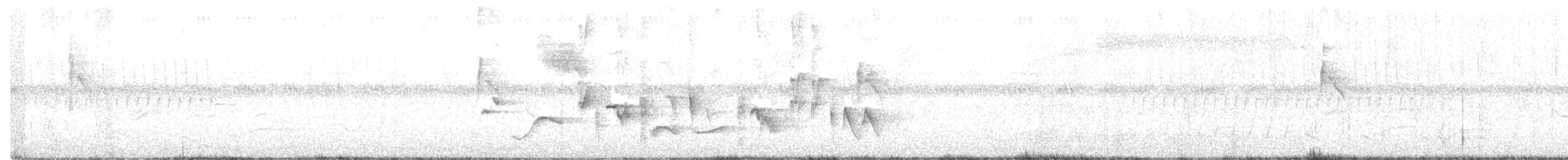 Oriole des vergers - ML249719791