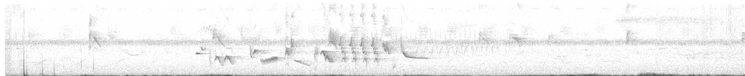 Oriole des vergers - ML249719801