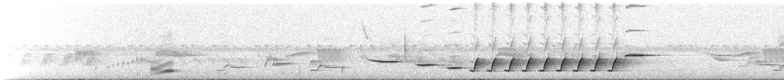 Troglodyte barré - ML249781931