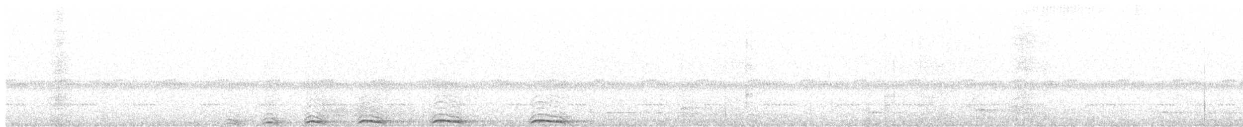 Сова плямиста - ML249784071