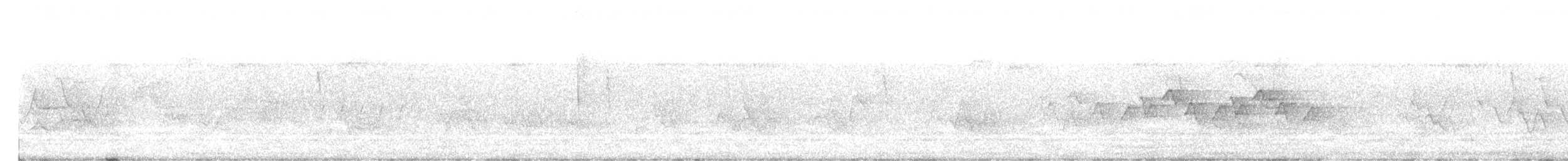 Common Yellowthroat - ML249800931