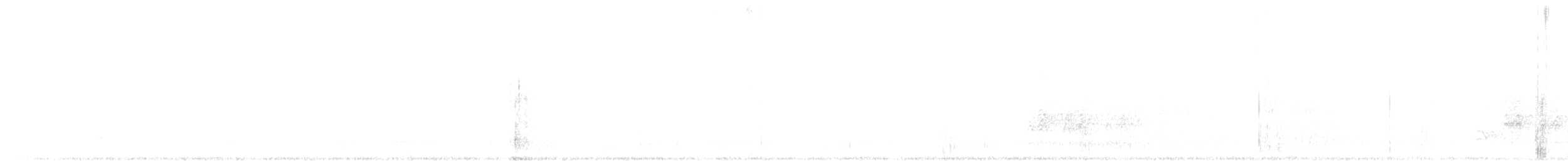 gråskrike (capitalis/bicolor) - ML249836741