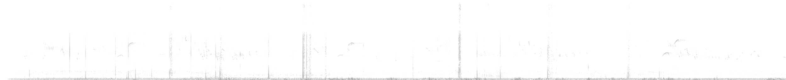Шишкар ідагоський - ML249896061