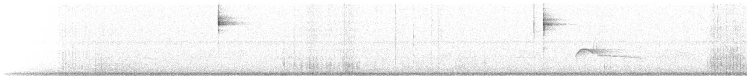 Pine Warbler - ML249900131