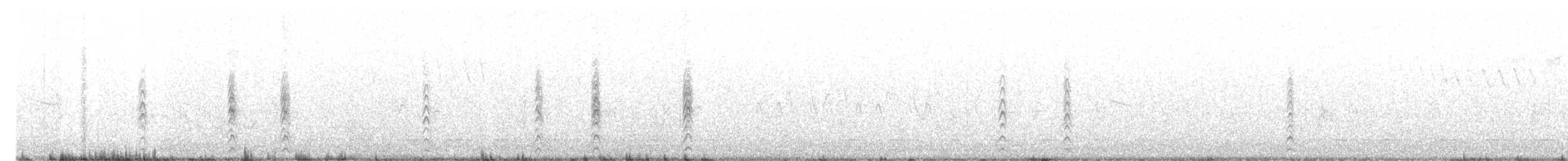Black-necked Stilt - ML249906551