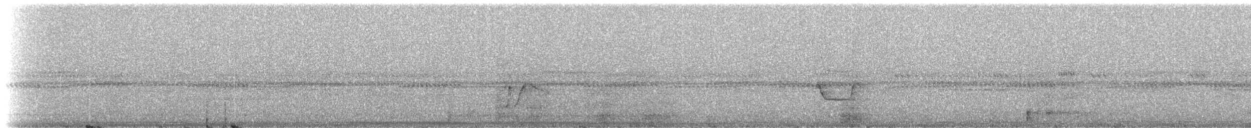 Тиранчик-короткодзьоб амазонійський - ML249908