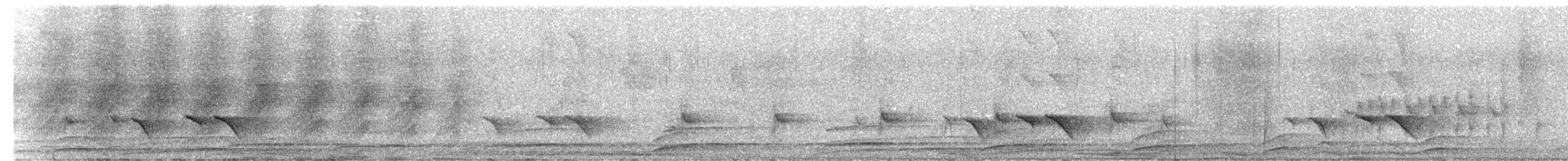 White-browed Shrike-Babbler - ML249921731