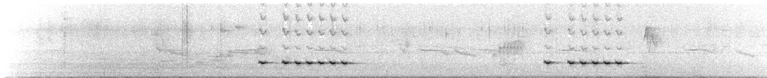 Golden Babbler - ML249928971