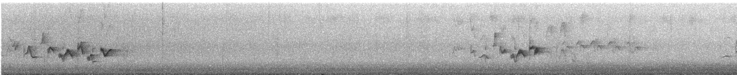 Viréo de Swainson - ML249936701