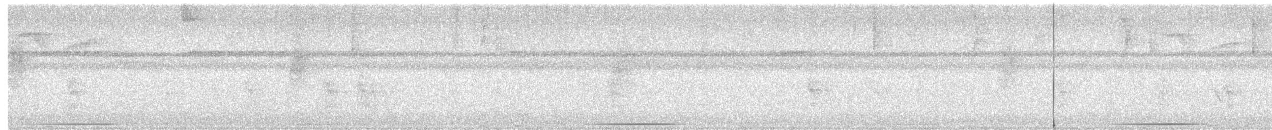 ウスイロシャコバト - ML249993001