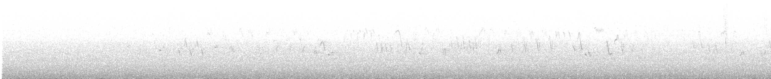 Troglodyte de Baird - ML250000351