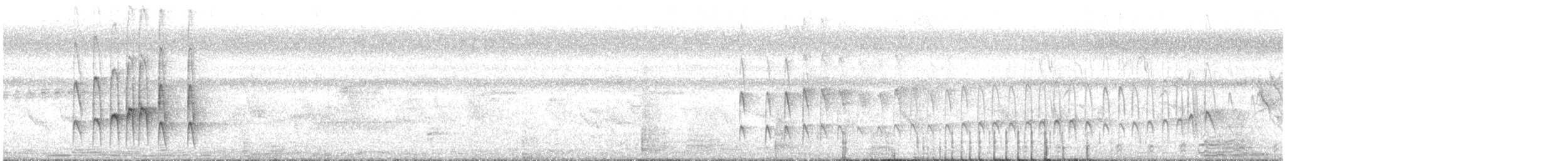 Mouse-colored Tyrannulet (Southern) - ML250006281
