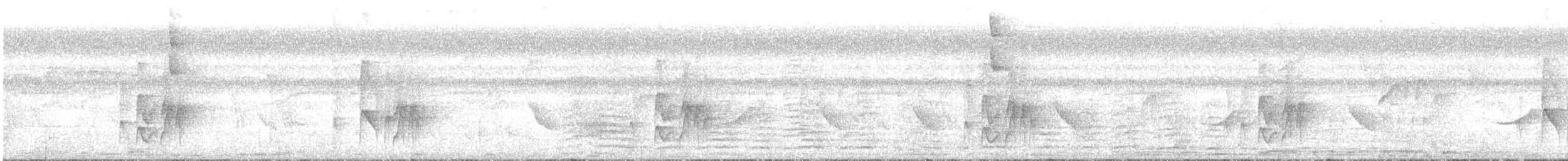 Güneyli Fare Rengi Tiranulet - ML250006321