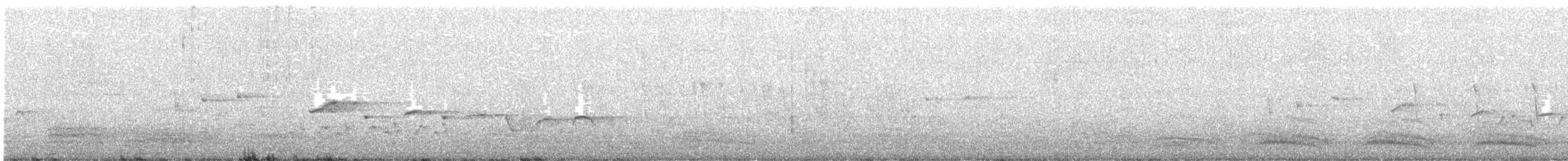 Белогорлая веерохвостка - ML250045901