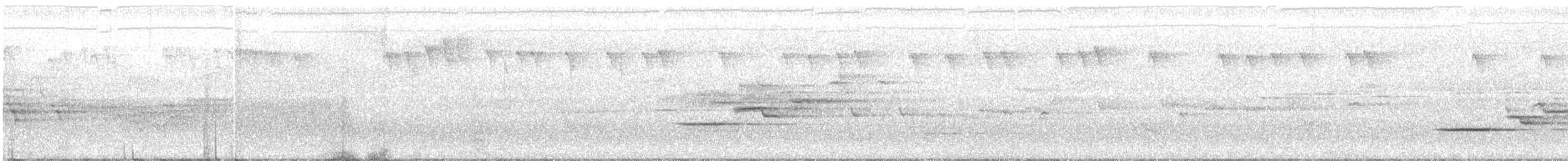 Дрізд-короткодзьоб плямистоволий - ML250146921