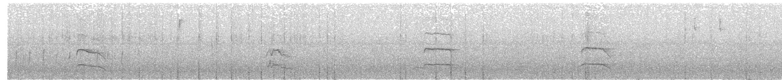 Трясохвіст строкатий - ML250150011