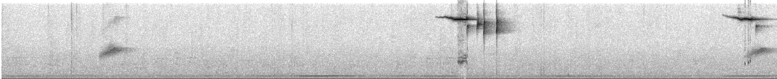 White-striped Warbler - ML250151651