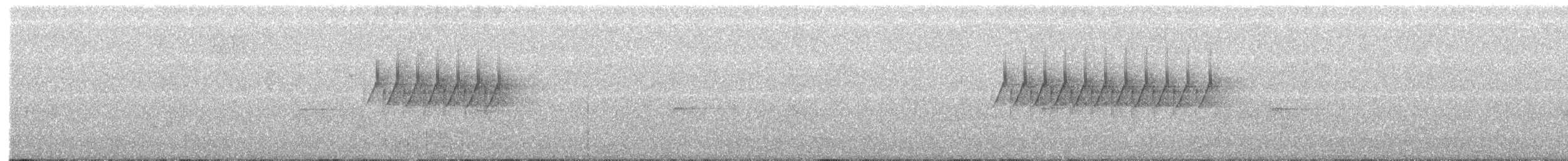 Юнко сірий (підвид hyemalis/carolinensis) - ML250180921