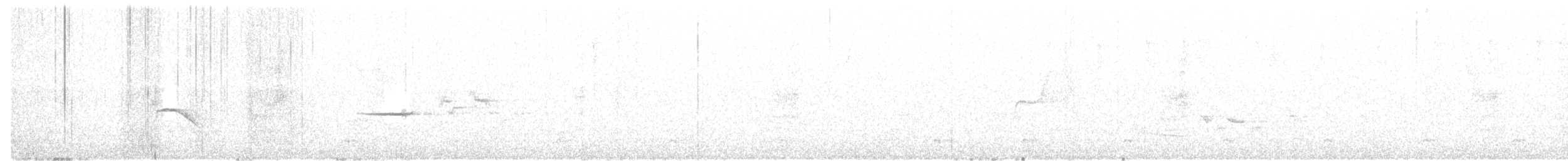 Münzevi Bülbül Ardıcı [guttatus grubu] - ML250193141
